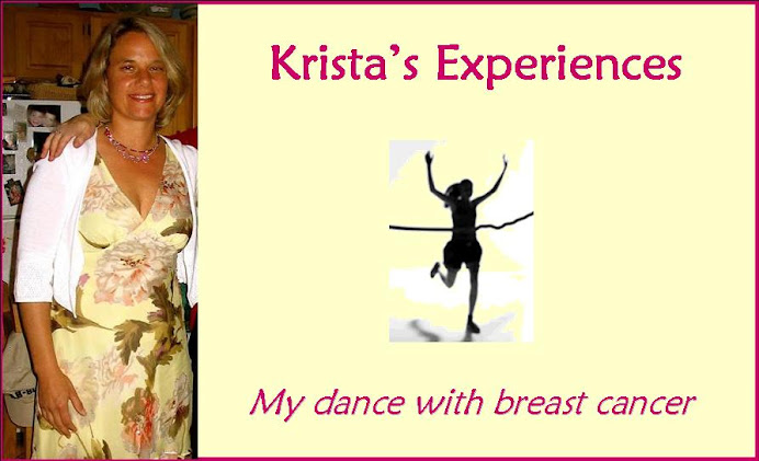 Krista's Experiences