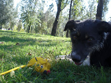 Rita en el parque - Agosto 2010