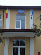 SCOALA CU CLASELE I-VIII "VLADIMIR STREINU"-TEIU-ROMANIA