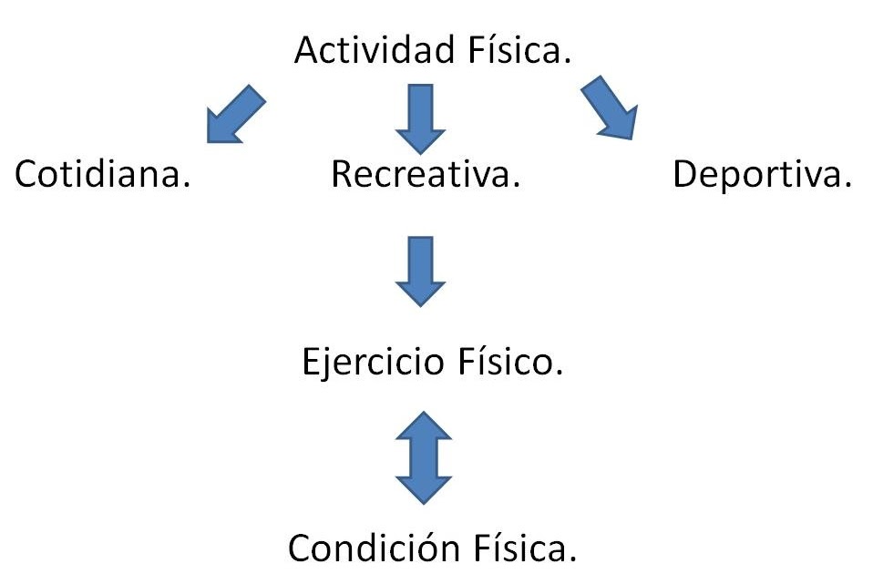 Actividad Física y Salud. Actividad Física y Salud.
