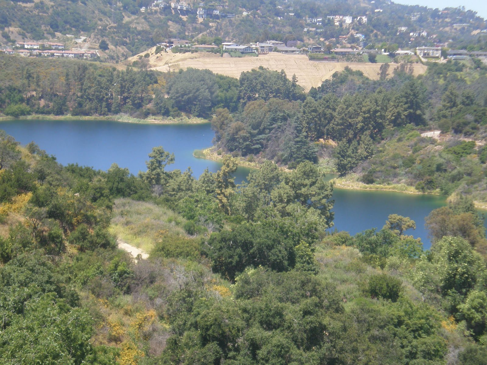 Climbing LA Walk 34 Beachwood Canyon