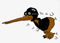 kiwi cool flying birds kiwis soar sky through