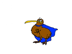 kiwis chanel fly kiwi birds