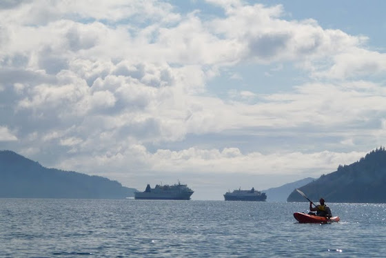 Más paisaje y kayak en Picton