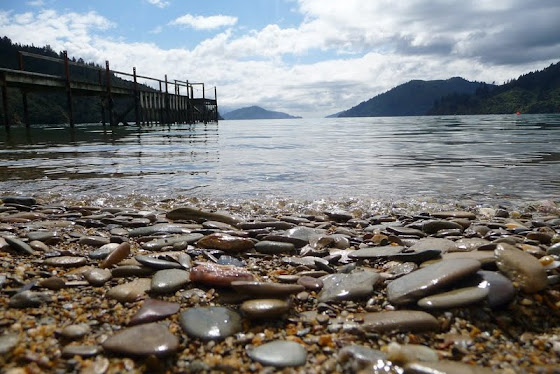 Más fotos de Picton