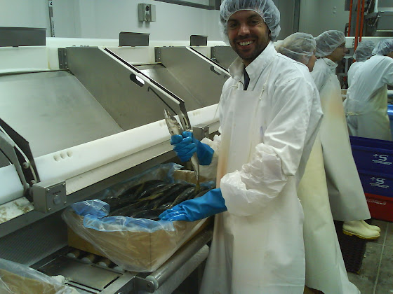 Aquí estoy como packer en la fish factory de Tauranga