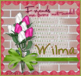 [TD+W4E+Friends+Wilma.jpg]