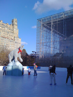 The Polar Rink Opens