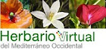 Herbario Virtual del Mediterráneo Occidental