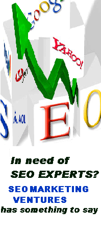 [need+seo+experts-SMV2-b.GIF]