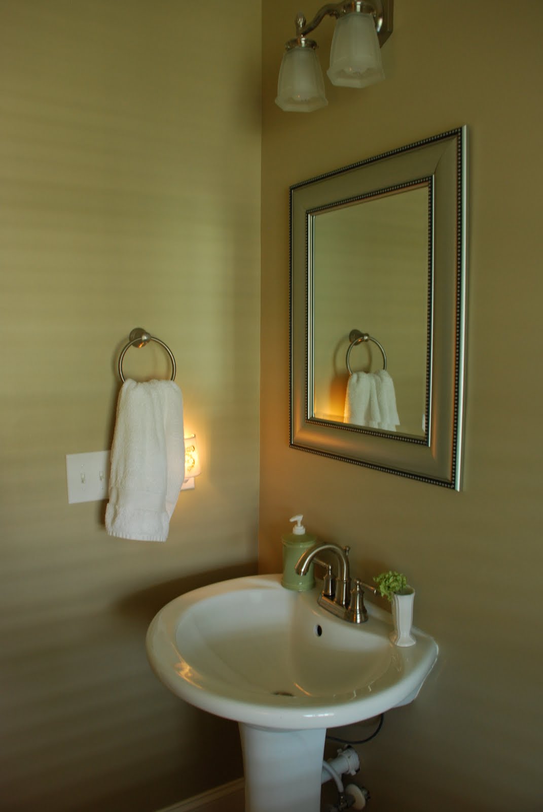 Two Carolina Nesters: Painted Powder Room