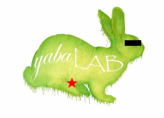Yaba Lab...