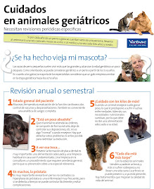 CUIDADOS GERIATRICOS