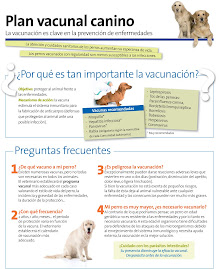 VACUNACIONES  PERROS