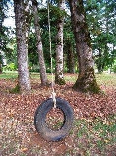 [GroveEXTtireswing.jpg]