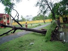 န Tamluk, 25 May :