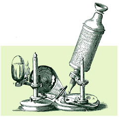 Microscopio rudimentario