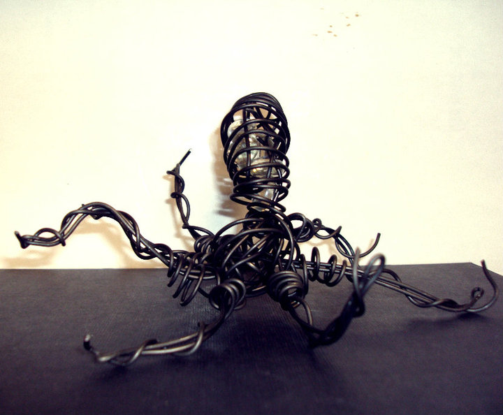 Slow Down and Look at Life Wire Sculptures Octopus