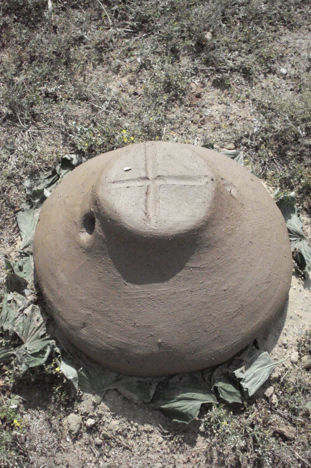 [DSC03155.JPG]