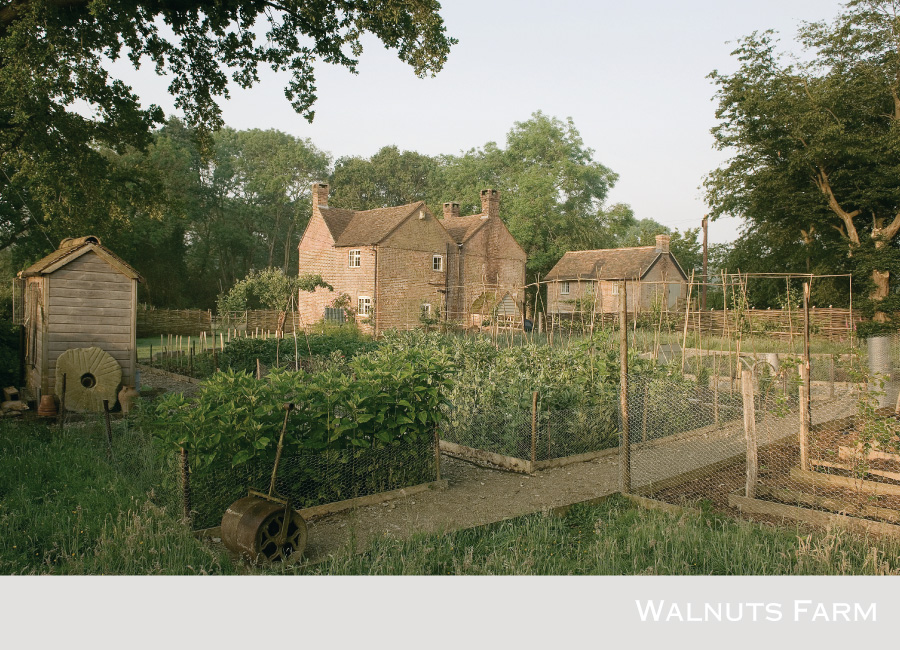 When Rural Met Urban Walnuts Farm