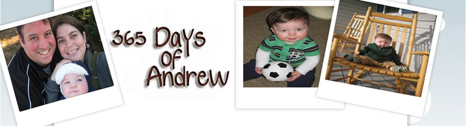 365 Days of Andrew