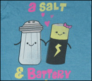 a salt batterey photo