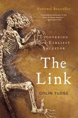 THE+LINK