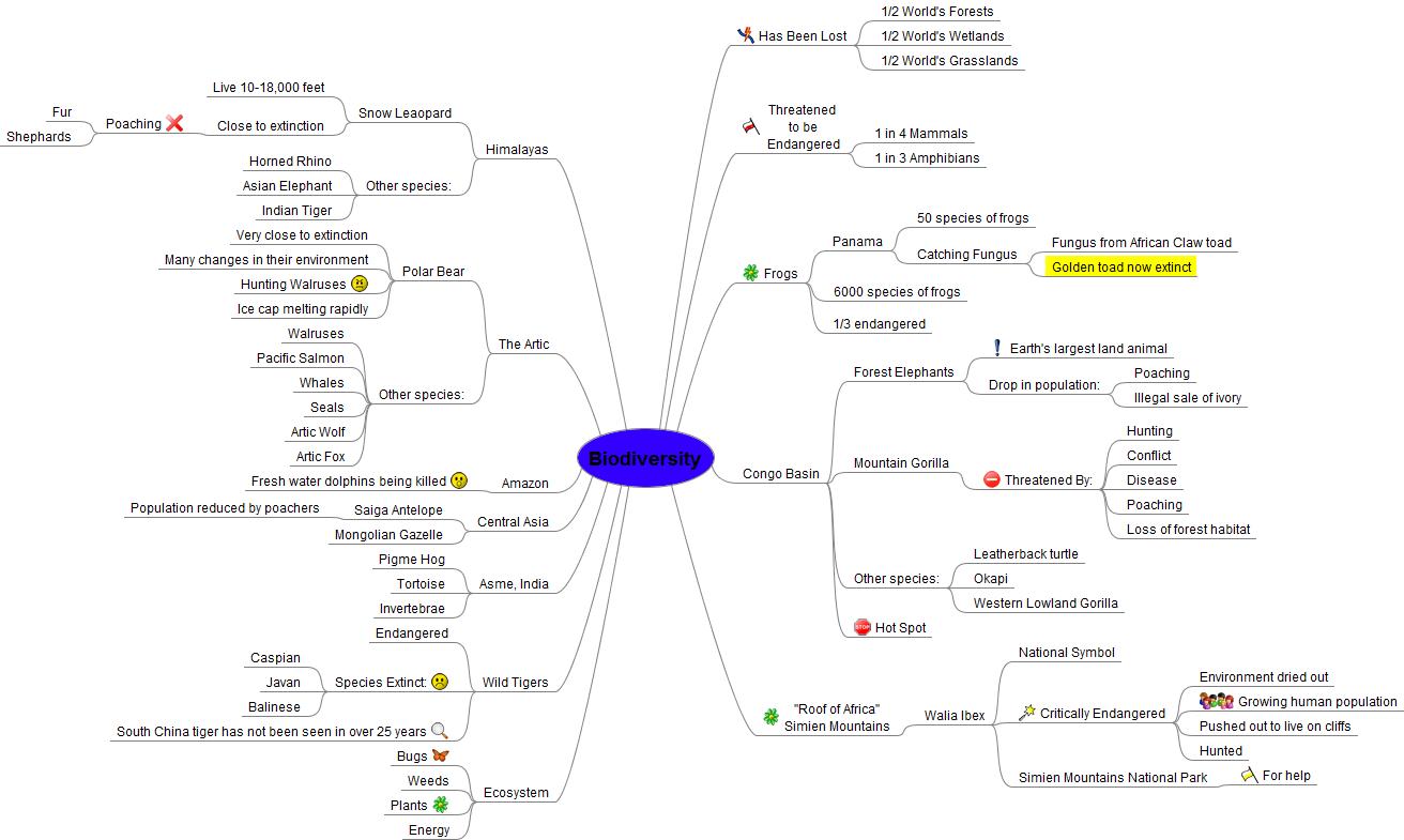 Eng 82b fall 2010 physical science mindmap