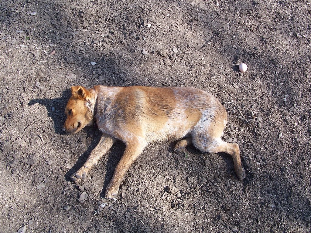 [109_1150.jpg]