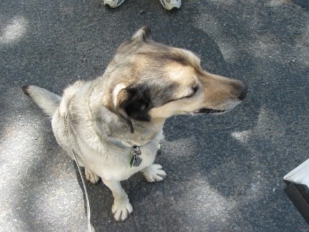[IMG_0714.JPG]