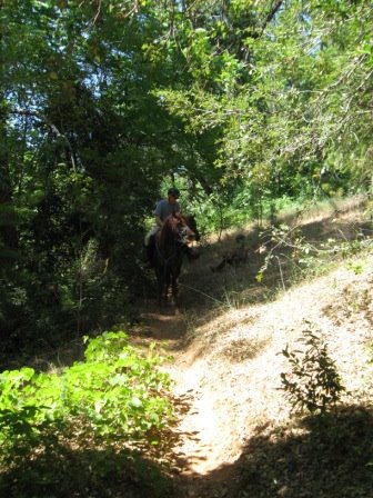 [IMG_2280.JPG]