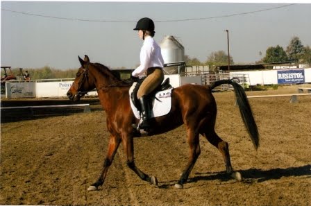 [Dressage+pic1.jpg]