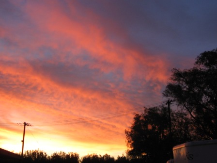 [IMG_2626.JPG]