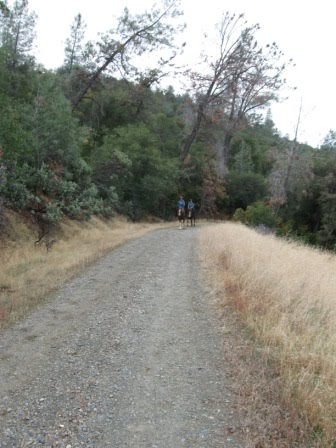 [IMG_2669.JPG]