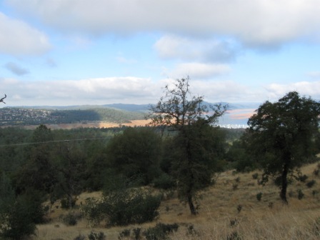 [IMG_2667.JPG]