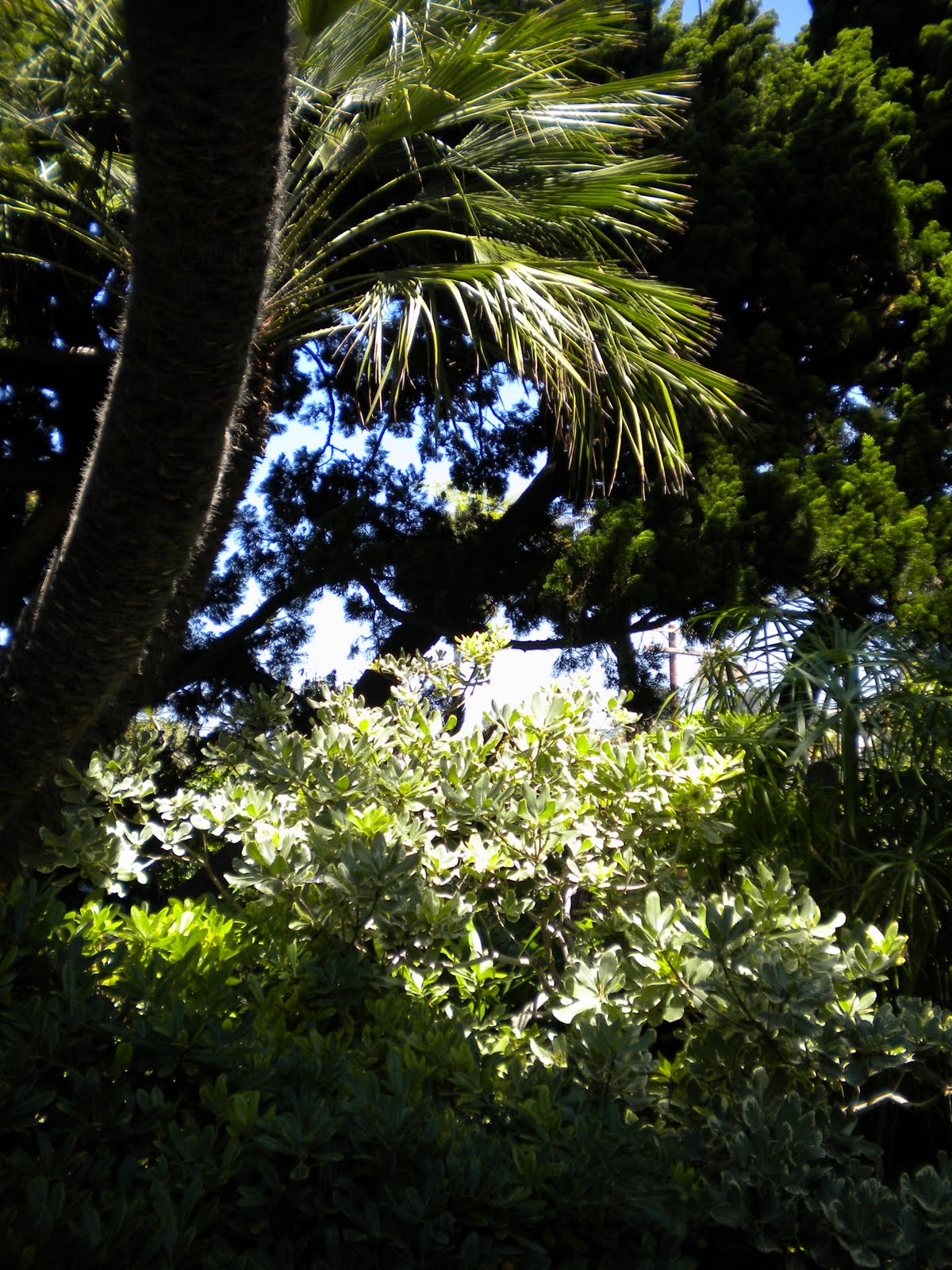 Jacobs Letter Self Realization Fellowship Meditation Gardens In jacobs-letter-self-realization-fellowship-meditation-gardens-in