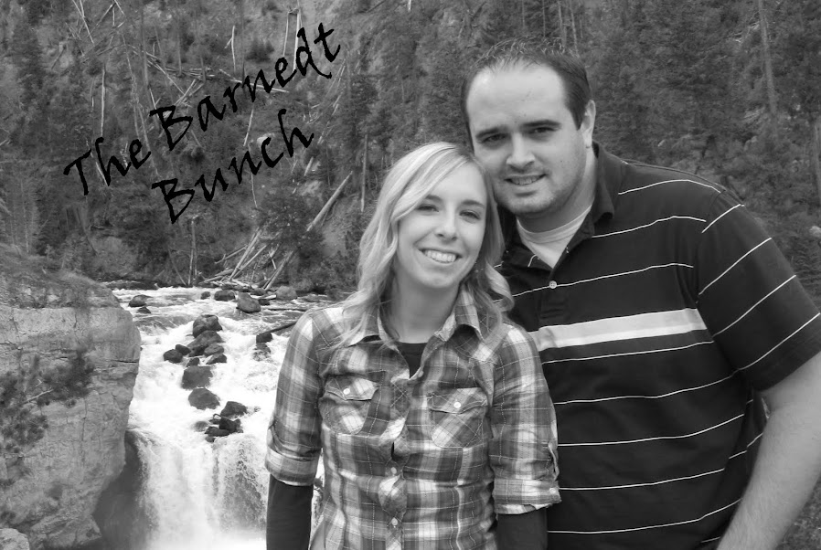THE BARNEDT BUNCH