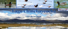 Visite el Lago Chinchaycocha