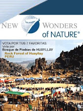 Vota por el Bosque de Piedras de Huayllay
