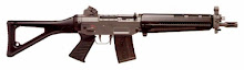 SIG551