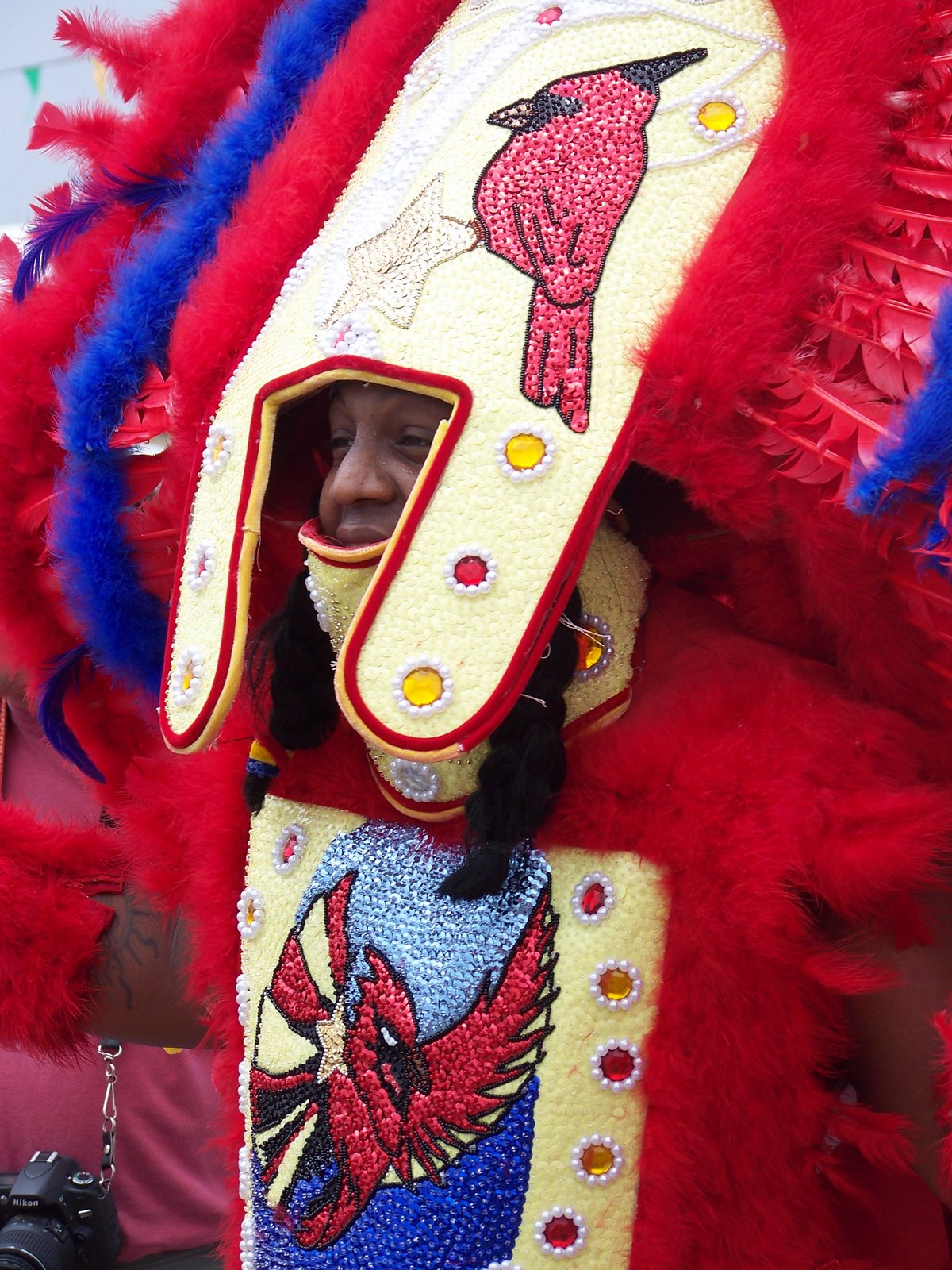 mardi gras indians events
