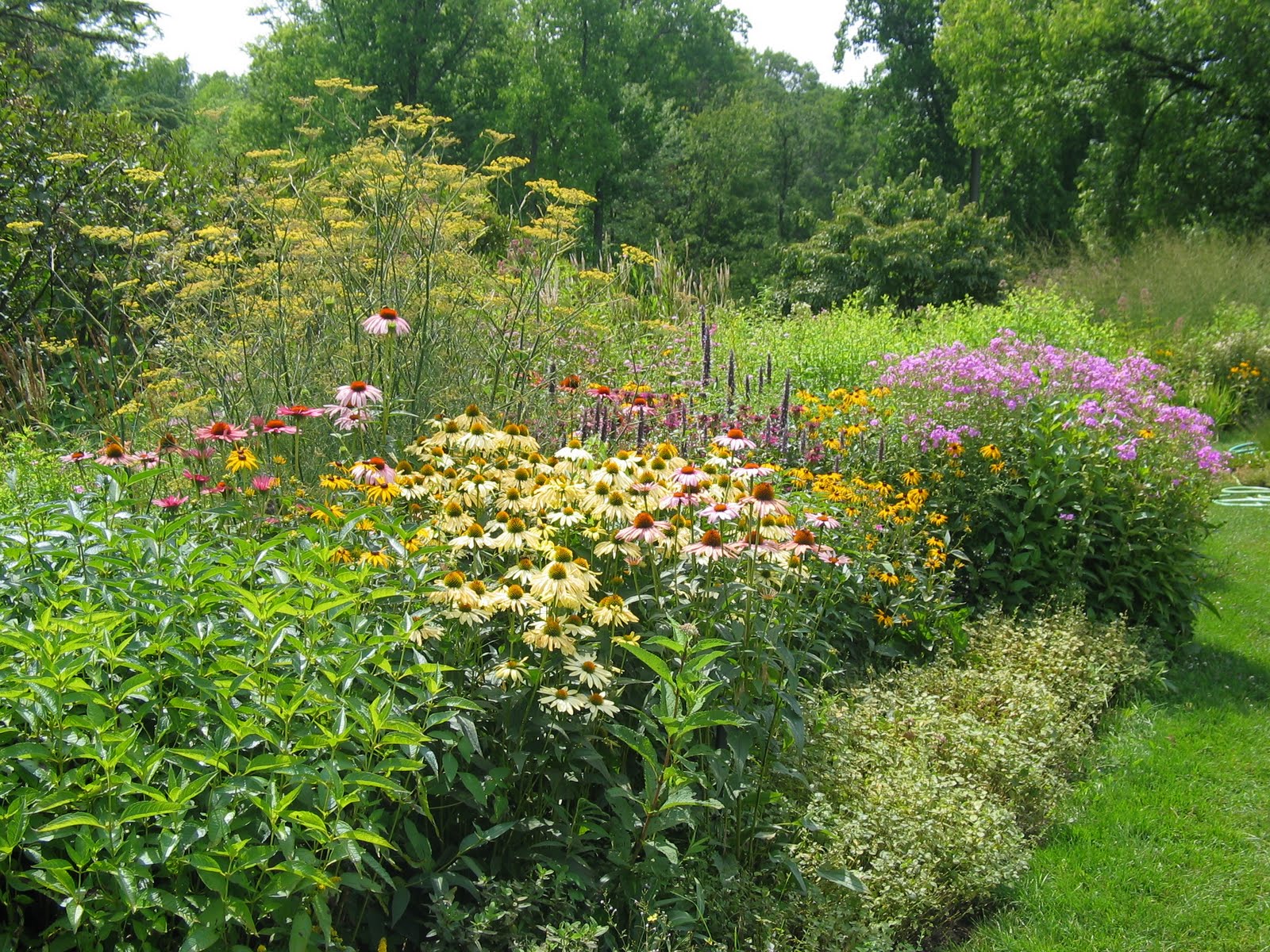 Northeast Ohio Nature: Butterfly Garden at The Holden Arboretum