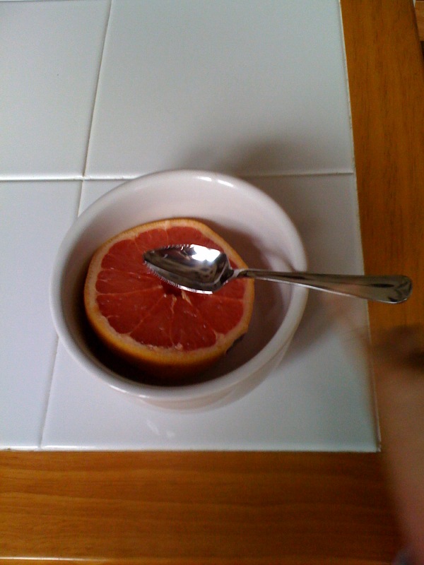 The Orange Shop Grapefruit Spoons!