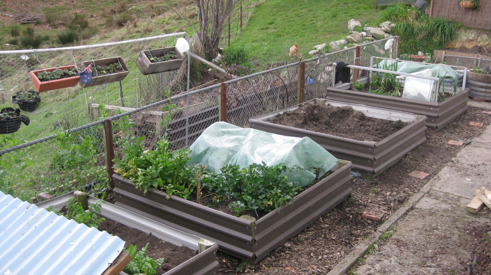New Zealand Vegetable Garden