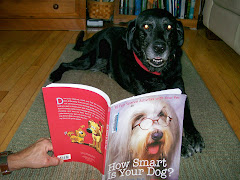 Even Dogs Like To Read!