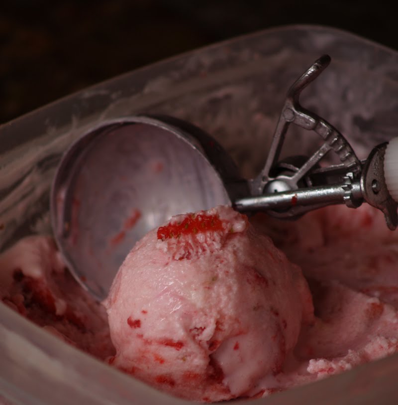 Aubergine, Sweet & Green Strawberry Yogurt IceCream