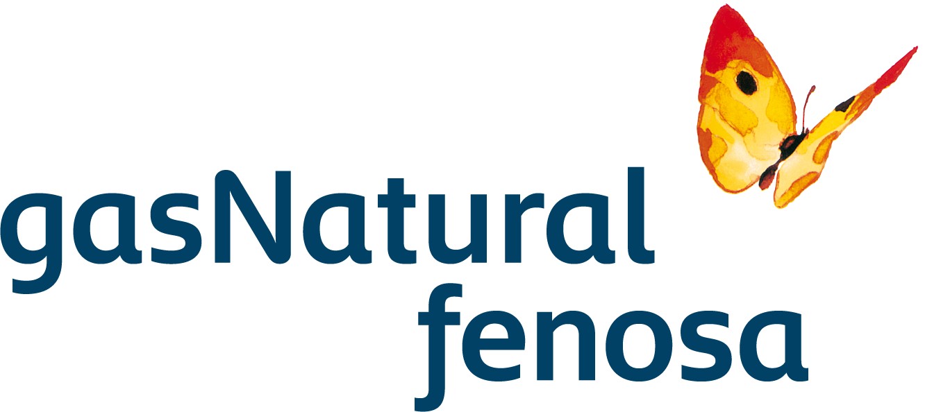 Union Fenosa Gas Natural 106
