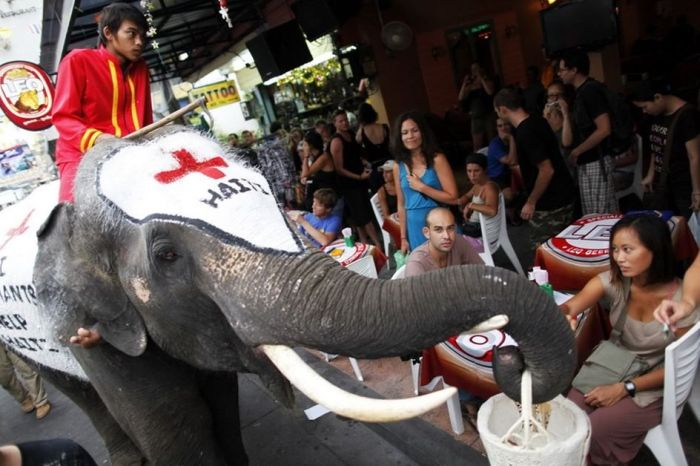 [7.jpg]