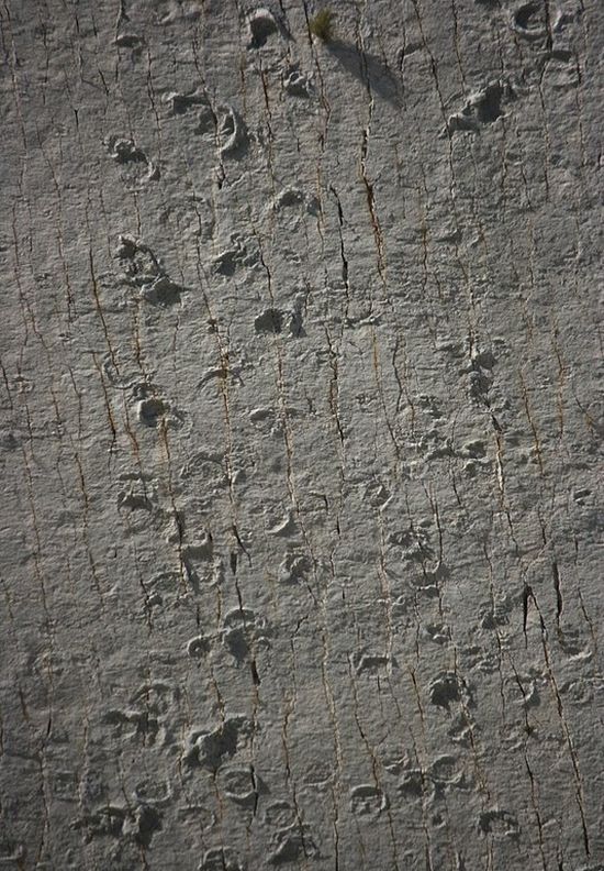 [8.jpg]