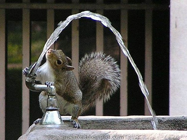 [thumbs_water_14.jpg]